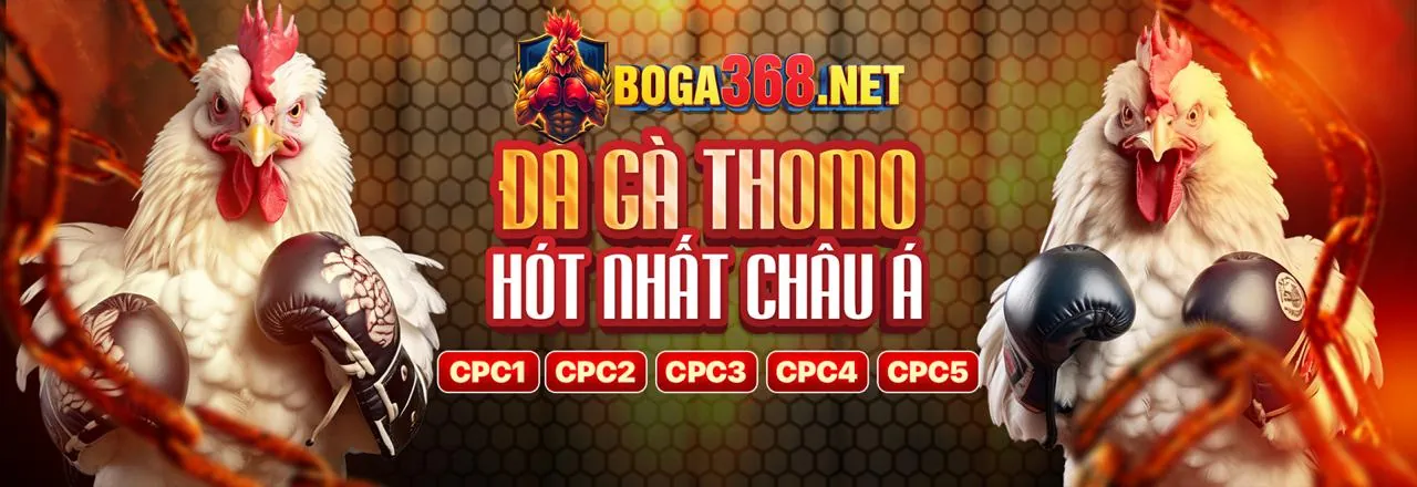 Sân chơi đá gà trực tuyến 88kim App 2026